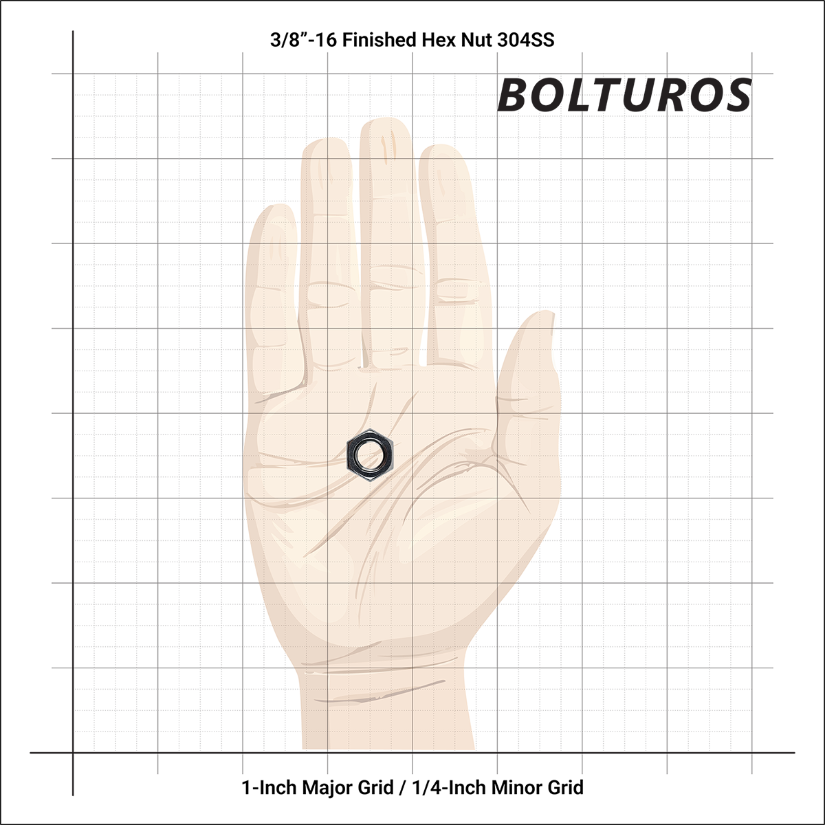 3/8"-16 Finish Hex Nuts 18-8 Stainless Steel